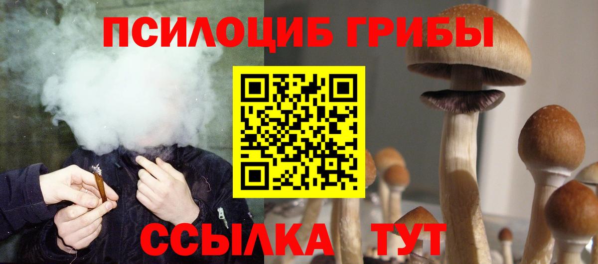 Псилоцибиновые грибы мухоморы Аргун