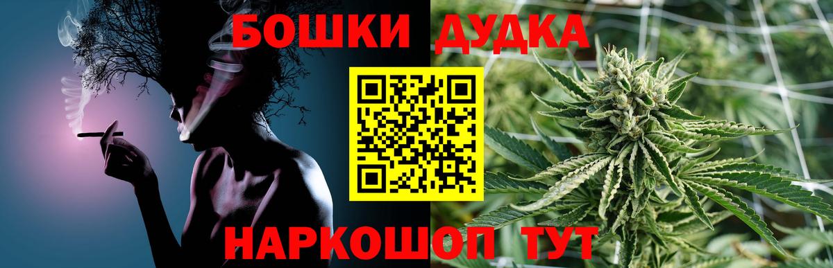 Бошки Шишки план Аргун